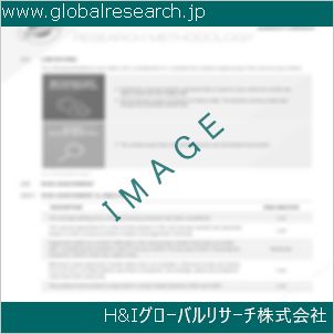 グローバルリサーチ調査資料のイメージ